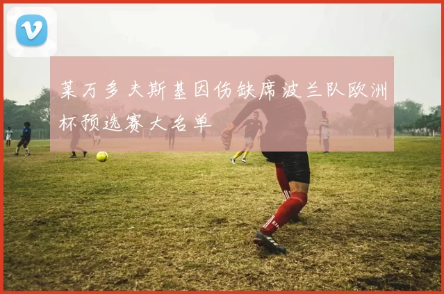 莱万多夫斯基因伤缺席波兰队欧洲杯预选赛大名单